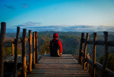 Rear view of man standing on wood at observation point against sky