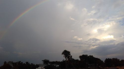 Low angle view of rainbow over trees