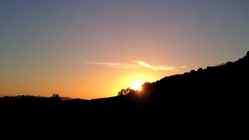 Silhouette of trees at sunset