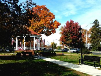 Trees in park