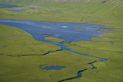 Aerial view of green landscape