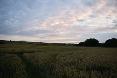 Scenic view of field against cloudy sky