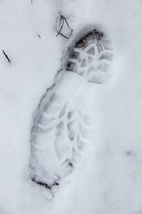 Close-up of snow covered land