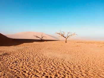 Sand dunes in desert against clear blue sky