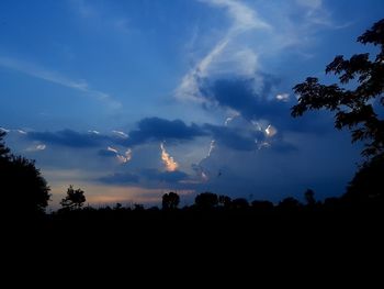 Low angle view of silhouette trees against sky