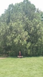 Woman sitting on grassy field