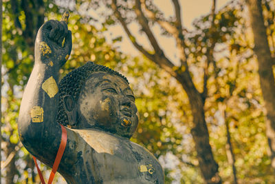 Close-up of statue against trees