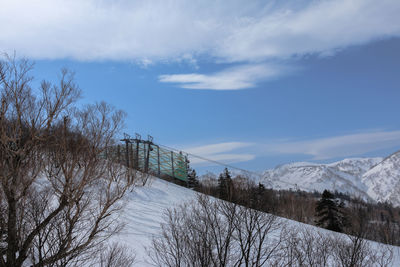 Bare trees on snowcapped mountain against sky