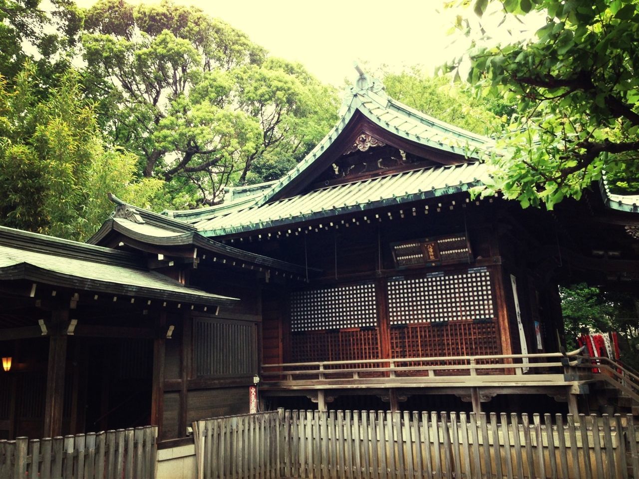 architecture, built structure, building exterior, tree, place of worship, temple - building, roof, religion, spirituality, tradition, house, culture, low angle view, temple, travel destinations, outdoors, no people, day