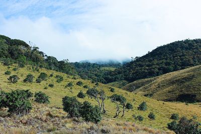 Scenic view of landscape against sky