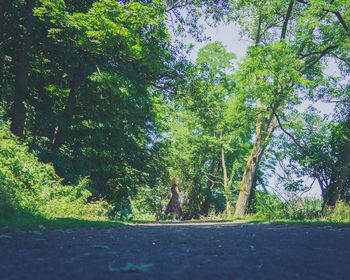 Woman on road amidst trees in forest