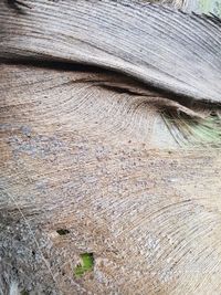 Full frame shot of weathered wood