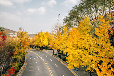 Road amidst trees against sky during autumn
