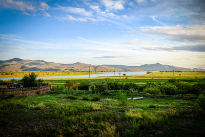 Scenic view of field against sky