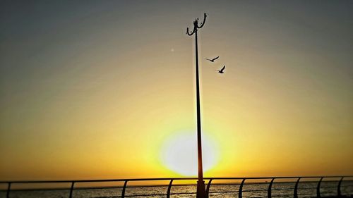 Silhouette bird flying over sea against sky during sunset