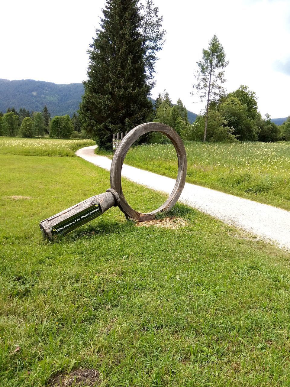 BICYCLE WHEEL ON FIELD