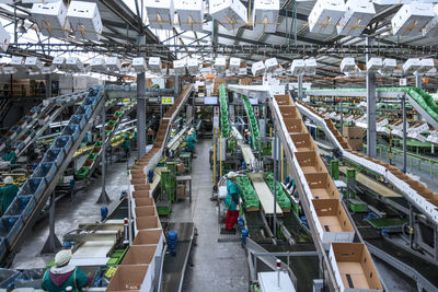 People working in apple factory