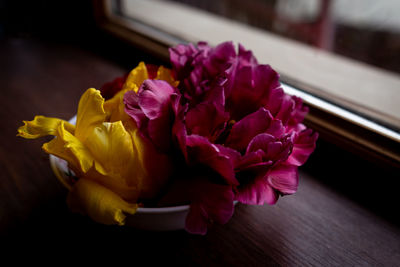 Close-up of flower petals on window sill