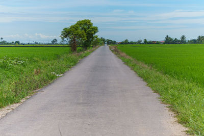 Road amidst field against sky