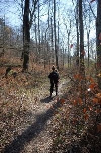 Rear view of man walking on field in forest