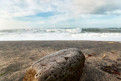 Surface level of pebble beach against sky