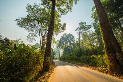 Road amidst trees against sky