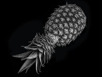 Close-up of lamp over black background