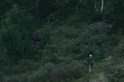 Rear view of man walking in the forest