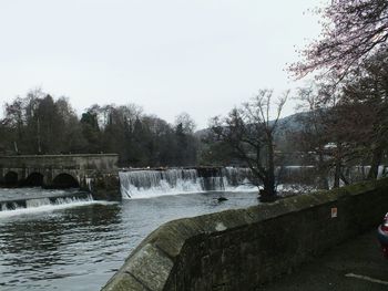 Reflection of trees in water