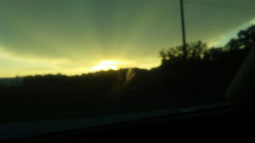 Silhouette of trees at sunset