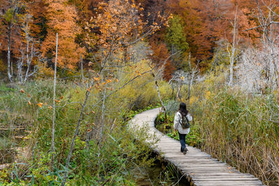 Girl on wooden footpath in plitvice lakes national park in croatia in autumn