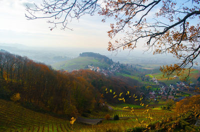 Scenic view of landscape against sky during autumn