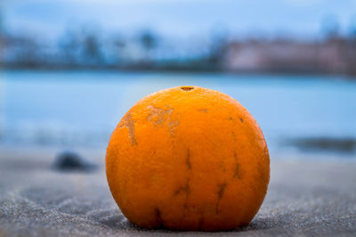 Close-up of orange fruit on beach