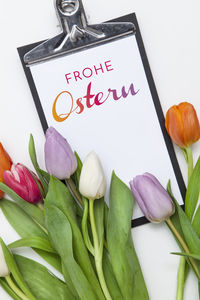 Close-up of text on flowers