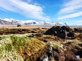 Scenic view of landscape against sky