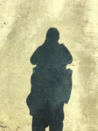 Shadow of man on sand at beach