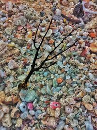 Pebbles on rocks