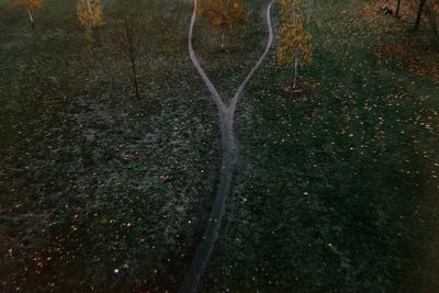 High angle view of lizard on field
