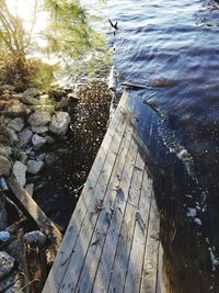 High angle view of wood by lake