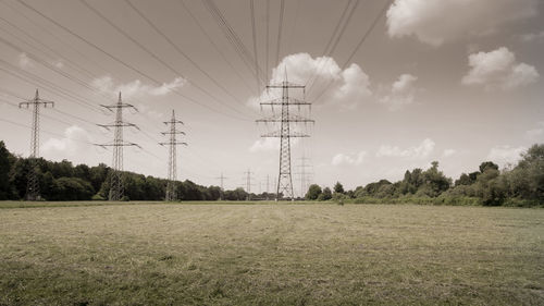 Electricity pylons in the freshly mowed floodplains. colorkey editing focuses on the green.