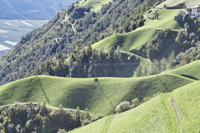 High angle view of trees and meadows at mountains in südtirol