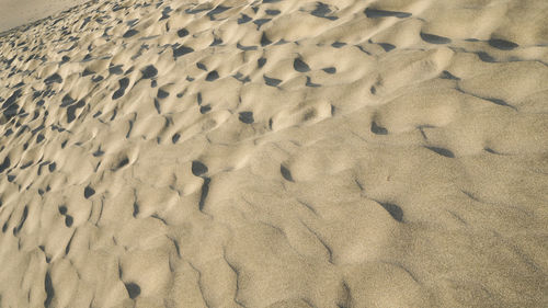 High angle view of footprints on sand at beach