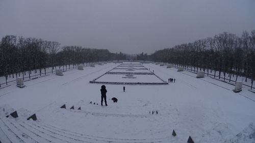 View of snow covered trees