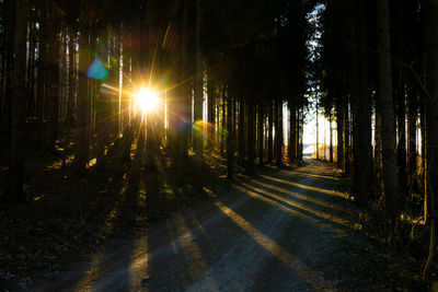 Illuminated street at night