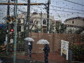 Rain drops on glass