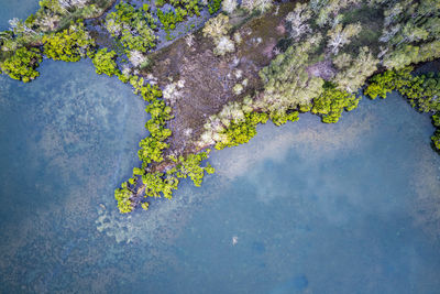 High angle view of sea