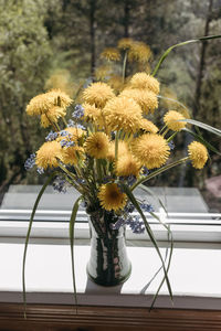 Beautiful bouquet of yellow dandelions in clay vase standing on windowsill by open window