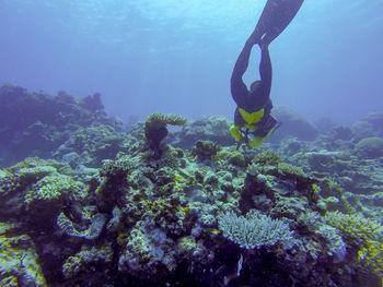 Man swimming in sea