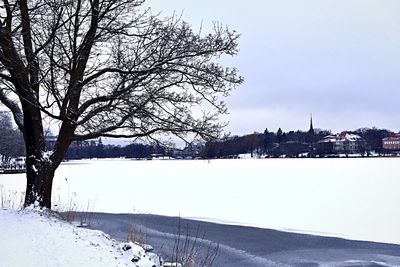 Scenic view of snow covered landscape