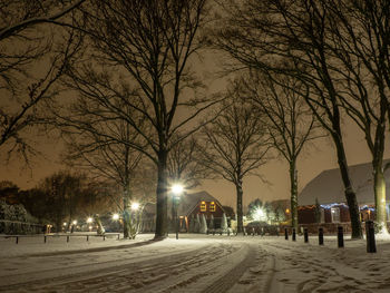 Illuminated street amidst bare trees in city at night